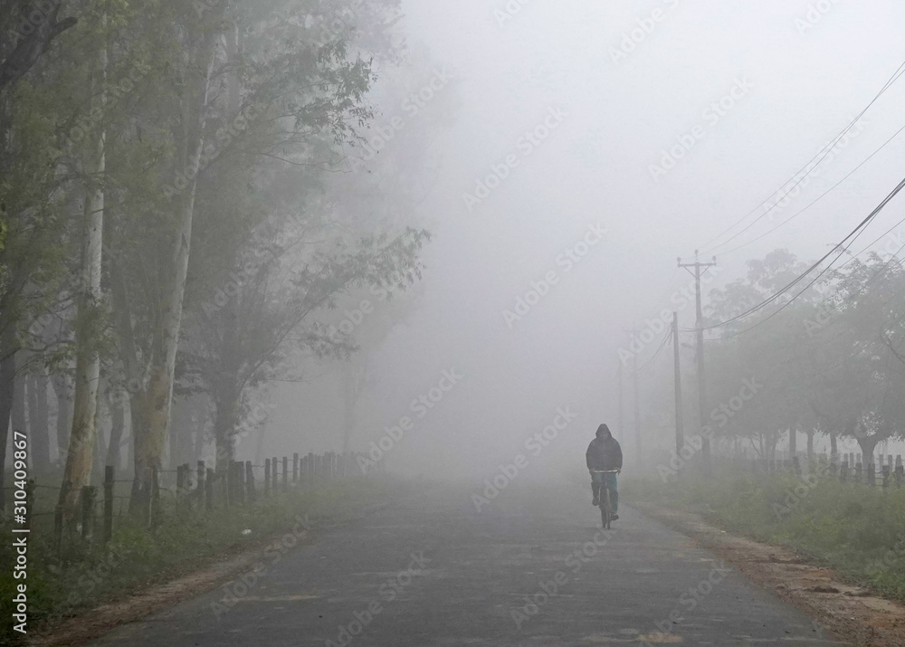Cyclist in a fog, Sauraha, Nepal 