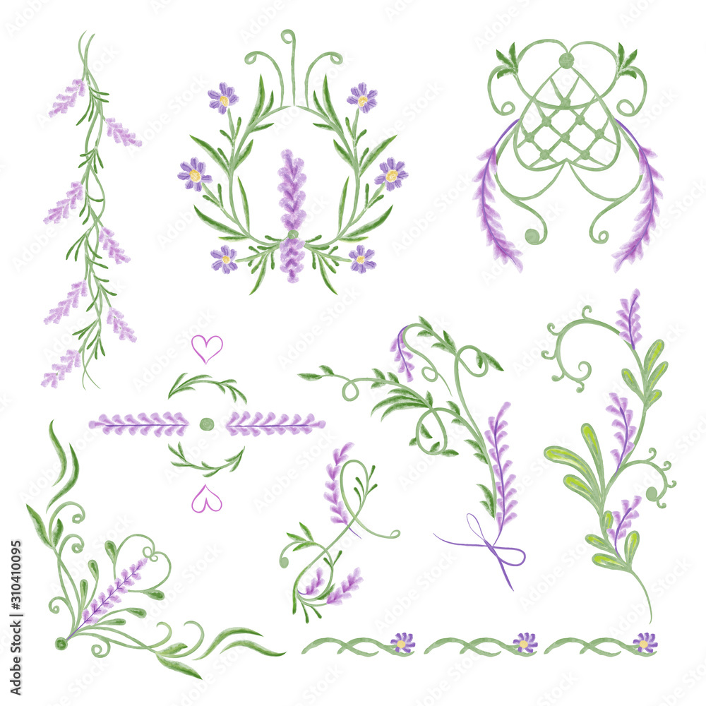 Vector watercolour illustration of lavender. Vintage floral elements.
