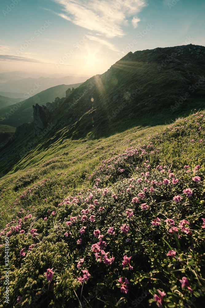 Majestic sunrise in summer mountains