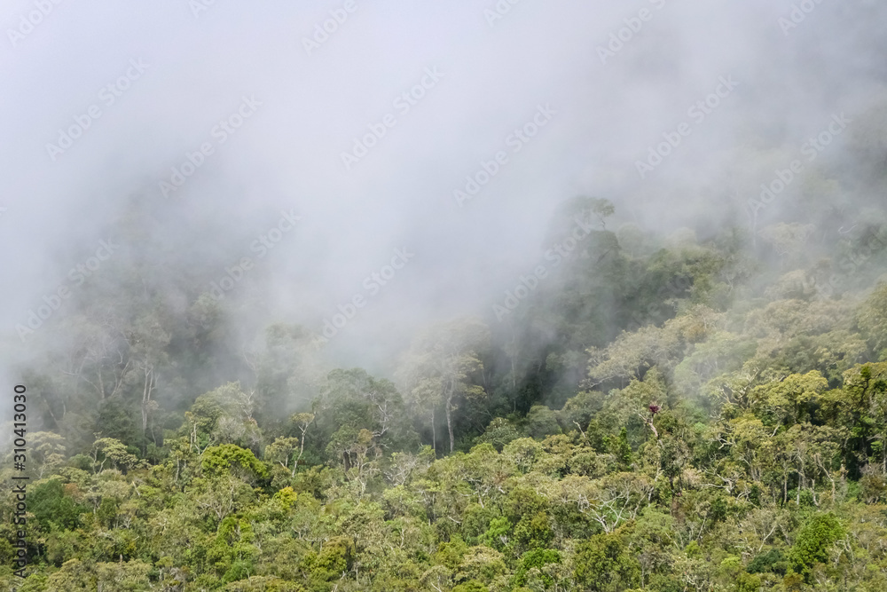 Clouds drifting over lush Atlantic rainforest in the Serra da Mantiqueira (Mantiqueira Mountain Range), Itatiaia, Brazil Clouds drifting over lush Atlantic rainforest in the Serra da Mantiqueira (Mantiqueira Mountain Range), Itatiaia, Brazil