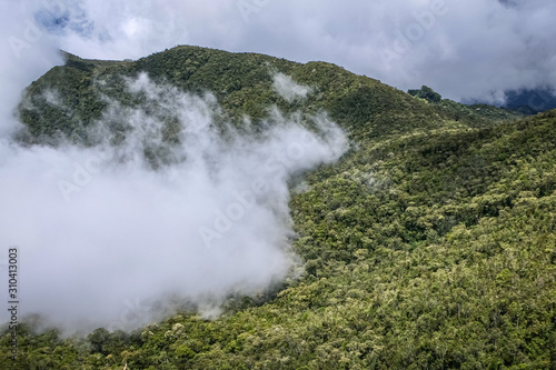 Clouds drifting over lush Atlantic rainforest mountains in the Serra da Mantiqueira (Mantiqueira Mountain Range), Itatiaia, Brazil  © Uwe Bergwitz