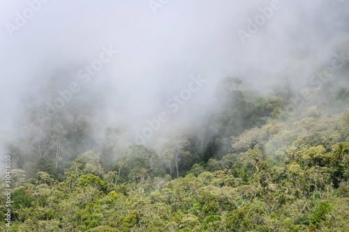 Clouds drifting over lush Atlantic rainforest in the Serra da Mantiqueira (Mantiqueira Mountain Range), Itatiaia, Brazil 