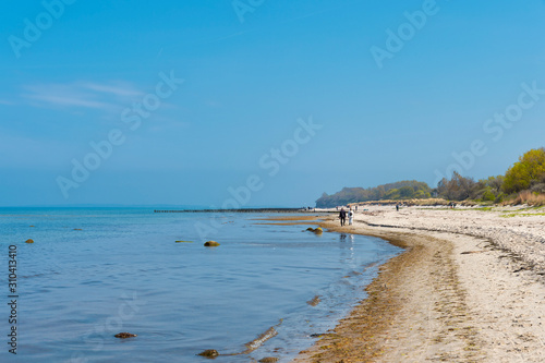 Strandläufer