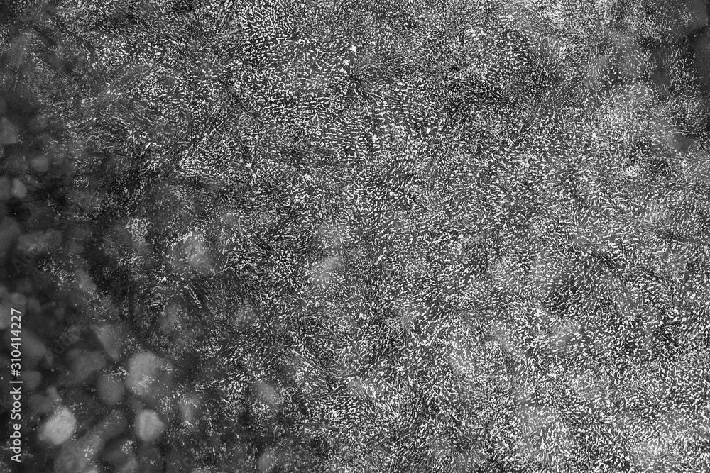 black and white texture of an ice surface with pure water ,cold snow gray cryslallized wall background ,winter frozen lake side close up , abstract macro wallpaper Stock Photo | Adobe Stock black and white texture of an ice surface with pure water ,cold snow gray cryslallized wall background ,winter frozen lake side close up , abstract macro wallpaper Stock Photo | Adobe Stock