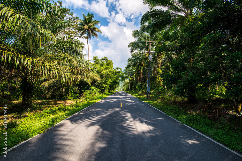 Road to Thailand national park, Phuket. Road to Thailand national park, Phuket.