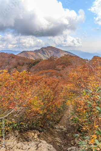 Fototapeta Naklejka Na Ścianę i Meble -  秋の天神峠から谷川岳への登山道からみた風景