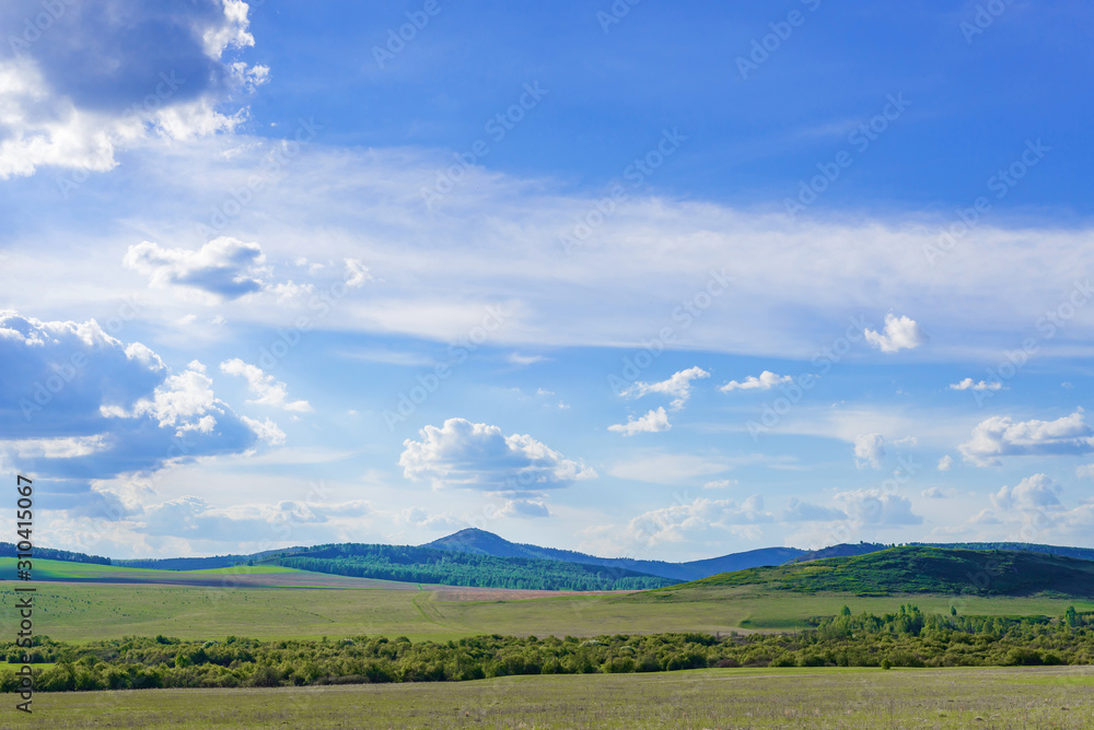 Obraz premium beautiful summer landscape forest and blue sky with clouds. grassy field and mountains. summer rural landscape with the horizon in the afternoon