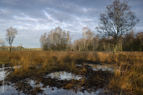 Duvensteder Brook 1