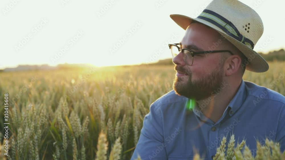 The farmer checks the wheat ears, nods the head with smile on face at camera The farmer checks the wheat ears, nods the head with smile on face at camera