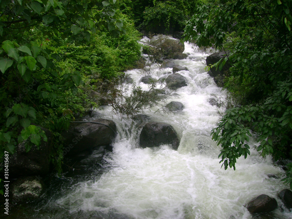 beautiful gushing river flow in kerala during monsoon beautiful gushing river flow in kerala during monsoon