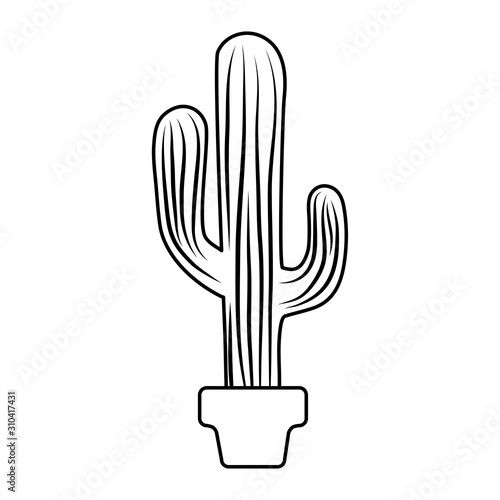Isolated cactus plant vector design