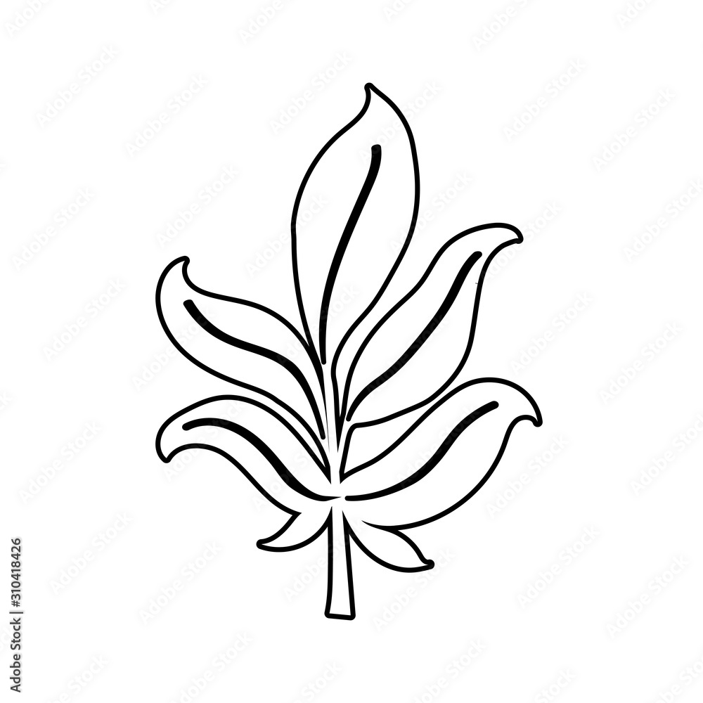 Isolated autumn leaf vector design Isolated autumn leaf vector design