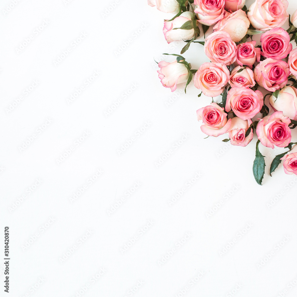 Floral composition with pink rose flower buds on white background. Flat lay, top view. Floral composition with pink rose flower buds on white background. Flat lay, top view.