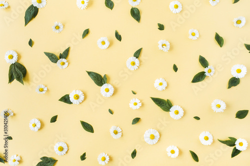 White chamomile daisy flowers pattern on yellow background. Flat lay, top view floral composition.