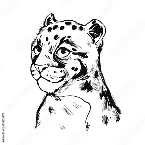 Clouded leopard baby tabby Neofelis wild cat from Himalayan t-shirt print, isolated monochrome design sketch. Vector illustration of mainland Sunda clouded leopard, hunting season wildcat portrait