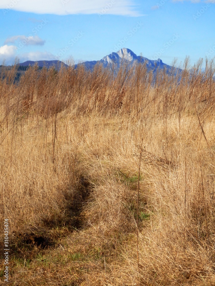 Obraz premium mountain