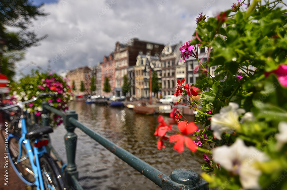 Amsterdam,Holland,August 2019. Enchanting view of a canals of the historic center. The typical houses overlook the water, boats moored along the canal. Planters on railings and bikes. Sunny day.