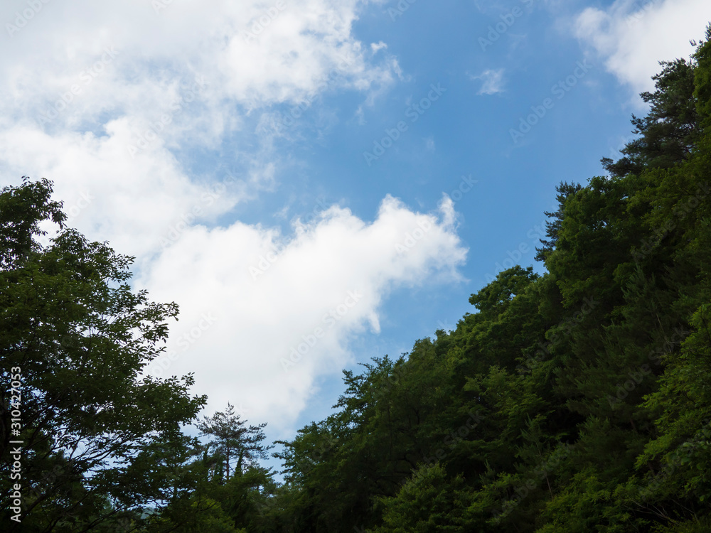Fototapeta premium 空