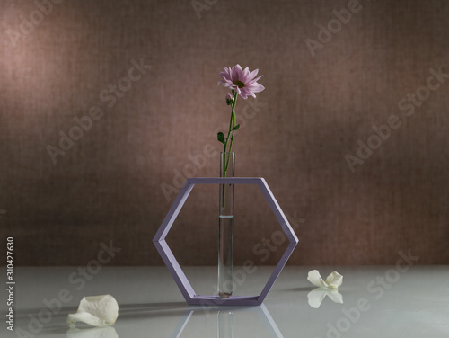 designer boxes and flower stands