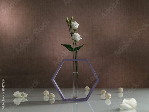 designer boxes and flower stands