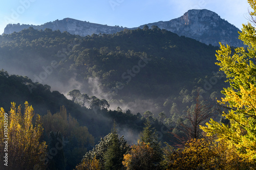 Elevated view of trees on mountain, Sierra De Cazorla, Jaen Province, Spain