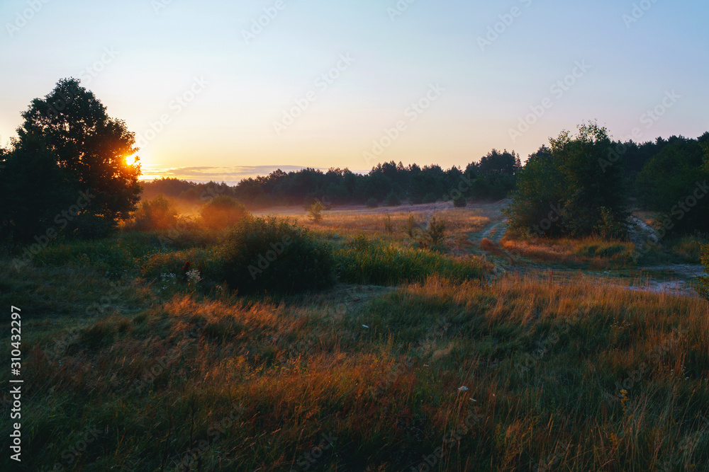 Naklejka premium Early foggy morning with beatiful sun near the Desna river, Ukraine 