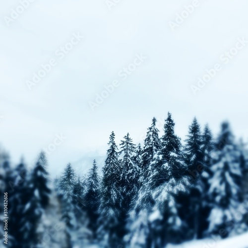 Φωτογραφία Sapin neige bleu effet instagram Carré Montagne