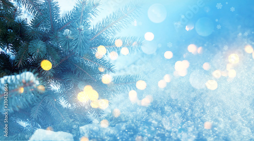 Winter christmas background. Pine branches close-up, New Year's blurry lights, snowdrift