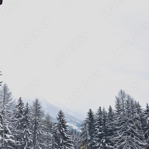 Φωτογραφία Neige Forêt sapin montagne Suisse flou effet Blanc bleu