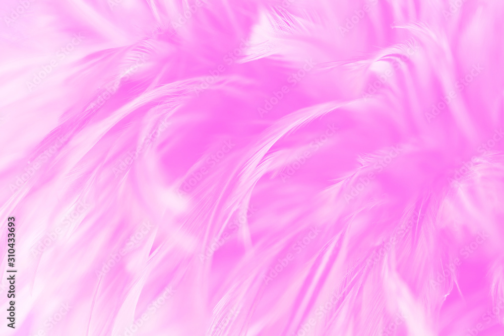 Beautiful pink chickens feather texture abstract background for design
