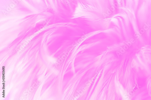 Beautiful pink chickens feather texture abstract background for design