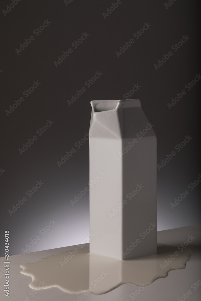 Dairy Milk Carton Dairy Milk Carton