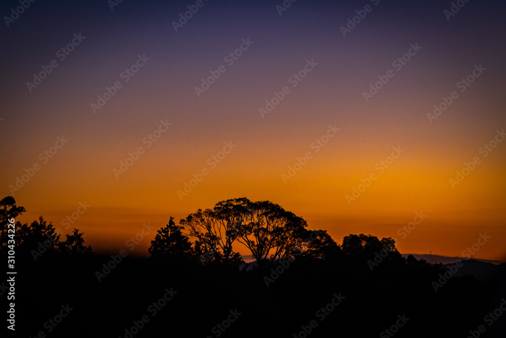 Sunset tree at dusk with orange and blue sky color in Kyoto, Japan.