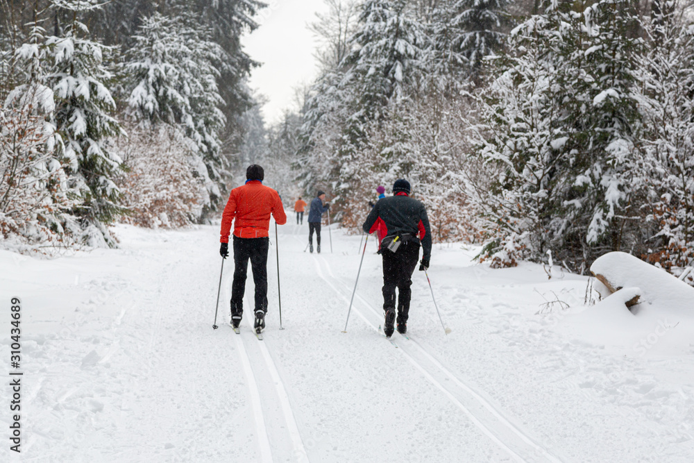 cross-country skiing in the forest