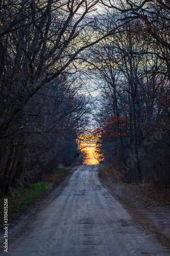 Tree Lined Country Road at Sunset