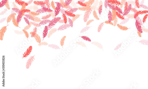 Flying feather elements airy vector design.