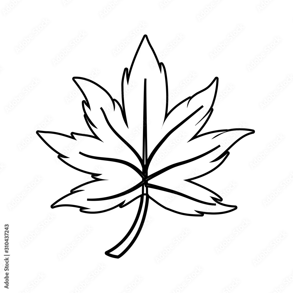 Isolated maple autumn leaf vector design Isolated maple autumn leaf vector design