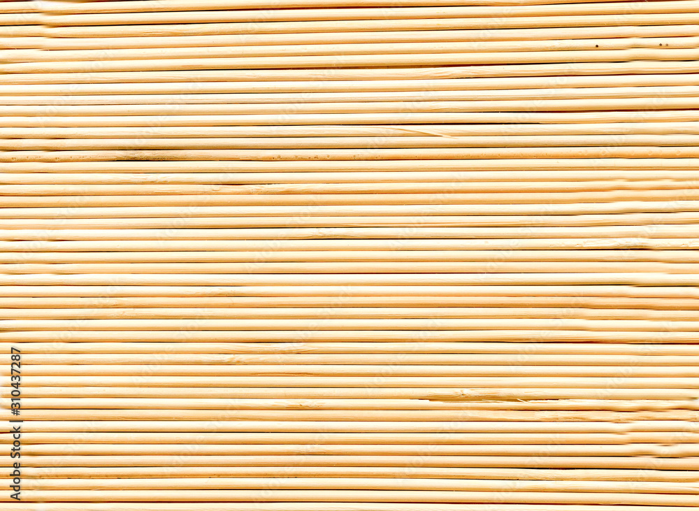 Texture of light tree trunks. Abstract background for design Texture of light tree trunks. Abstract background for design
