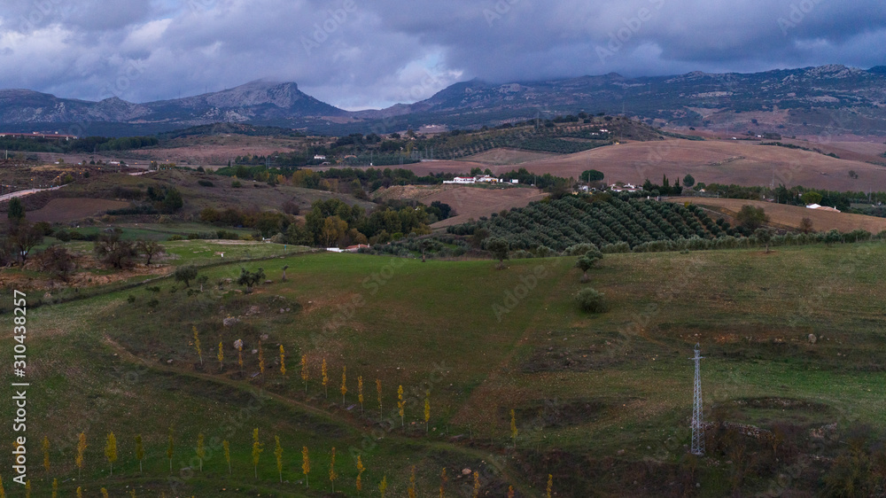 Scenic view of field, Ronda, Malaga Province, Spain