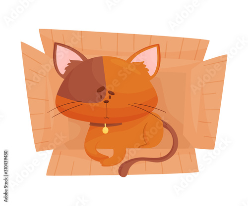 Fluffy Red Colored Cat Sitting Inside Carton Box Vector Illustration