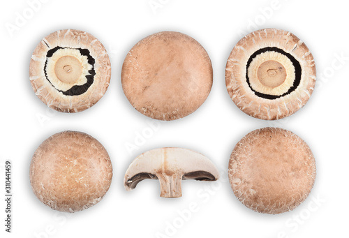 Top view of mushroom isolated on white background