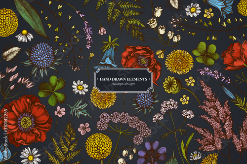 Floral design on dark background with shepherd's purse, heather, fern, wild garlic, clover, globethistle, gentiana, astilbe, craspedia, lagurus, black caraway, chamomile, dandelion, poppy flower, lily