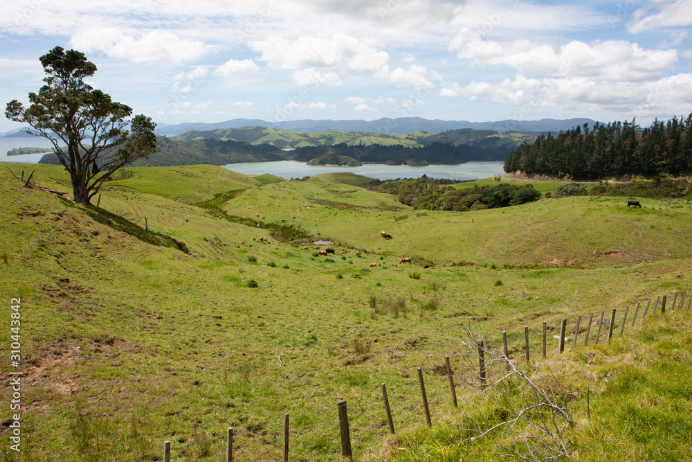 Coromandel New Zealand. North Island. Landscapes.