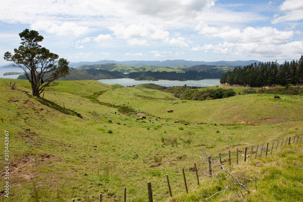 Coromandel New Zealand. North Island. Landscapes.