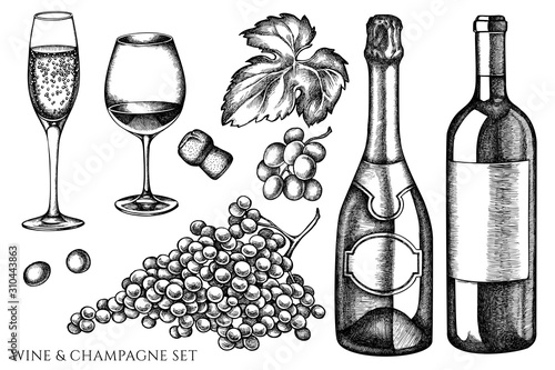 Vector set of hand drawn black and white grapes, champagne, bottle of wine, glass of champagne, glass of wine