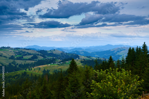 Sunset in carpathian mountains - beautiful summer landscape, spruces on hills, cloudy sky and wildflowers.