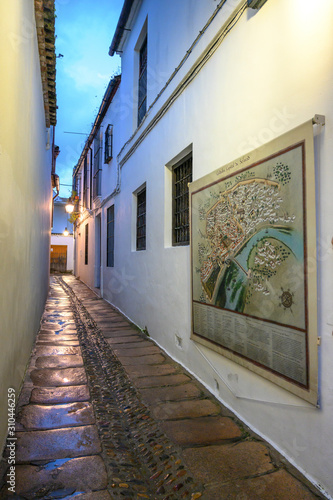 Narrow alley of the medieval synagogue in the old Juderia Quarters, C�rdoba Synagogue, Distrito Centro, Cordoba, Andalusia, Spain
