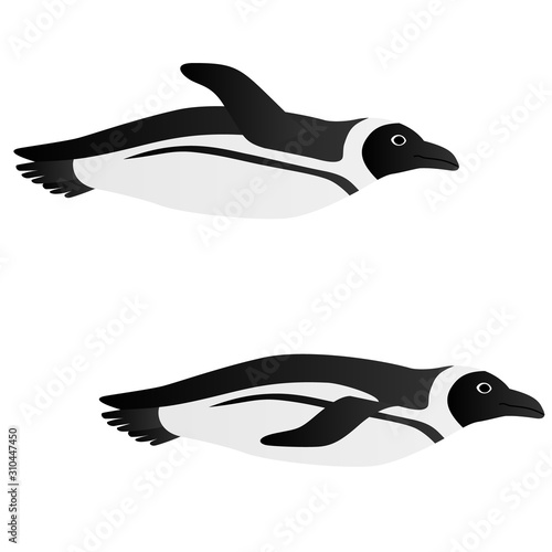 Illustration of a penguin swimming like a fly