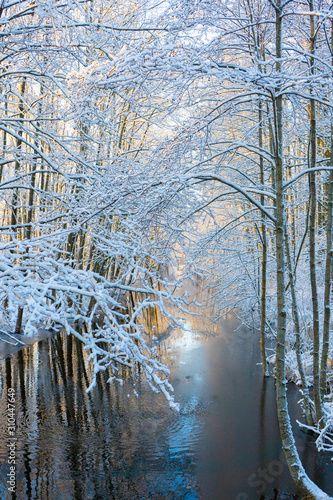 Frozen stream (canal) and trees with snow. Winter in scandinavia. Swedish landscape wallpaper. Nature photo.