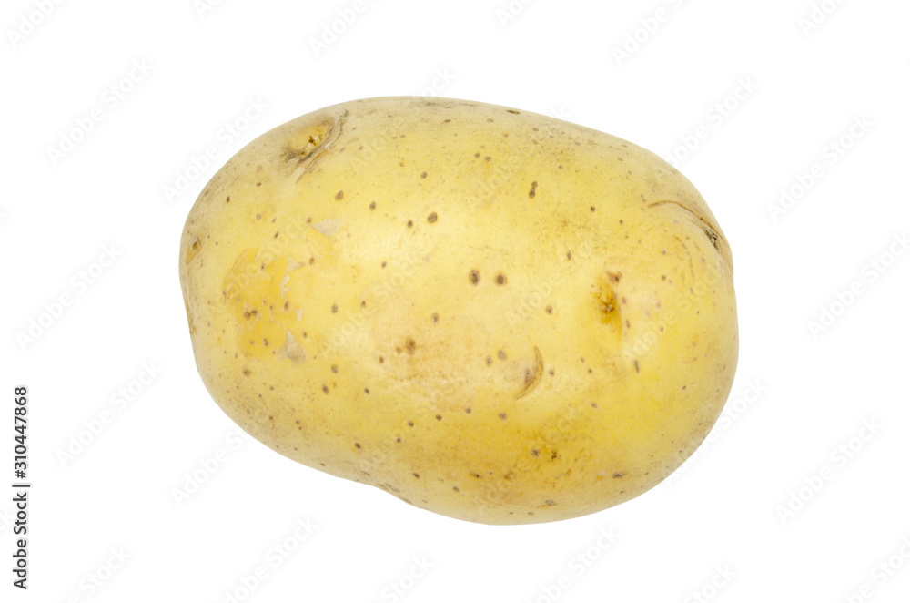 Potato tuber close up isolated on a white background. Vegetables, natural product. Potato tuber close up isolated on a white background. Vegetables, natural product.